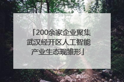 200余家企业聚集 武汉经开区人工智能产业生态现雏形