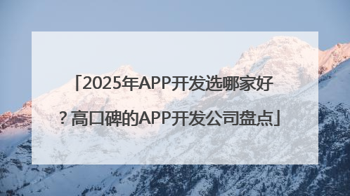2025年APP开发选哪家好？高口碑的APP开发公司盘点