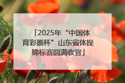2025年“中国体育彩票杯”山东省体操锦标赛圆满收官