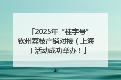 2025年“桂字号”钦州荔枝产销对接（上海）活动成功举办！