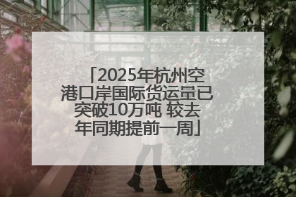 2025年杭州空港口岸国际货运量已突破10万吨 较去年同期提前一周