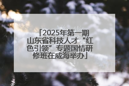 2025年第一期山东省科技人才“红色引领”专题国情研修班在威海举办