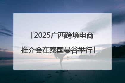 2025广西跨境电商推介会在泰国曼谷举行
