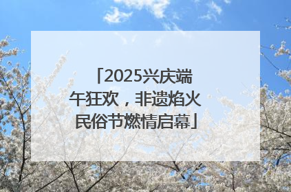2025兴庆端午狂欢，非遗焰火民俗节燃情启幕