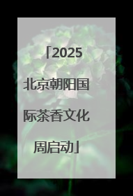 2025北京朝阳国际茶香文化周启动