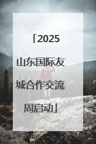 2025山东国际友城合作交流周启动