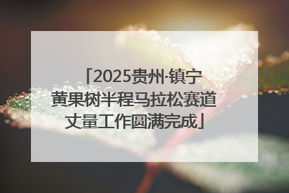 2025贵州·镇宁黄果树半程马拉松赛道丈量工作圆满完成