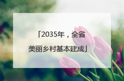 2035年，全省美丽乡村基本建成