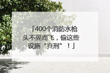 400个消防水枪头不翼而飞，偷这些设施“真刑”！