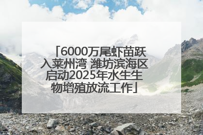 6000万尾虾苗跃入莱州湾 潍坊滨海区启动2025年水生生物增殖放流工作
