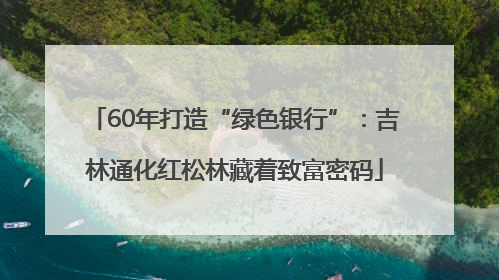 60年打造“绿色银行”：吉林通化红松林藏着致富密码