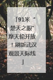 91米“楚天之眼”摩天轮开放！刷新武汉观景天际线