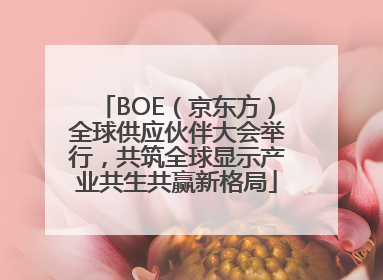BOE（京东方）全球供应伙伴大会举行，共筑全球显示产业共生共赢新格局
