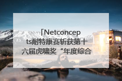 Netconcepts耐特康赛斩获第十六届虎啸奖“年度综合服务商”大奖